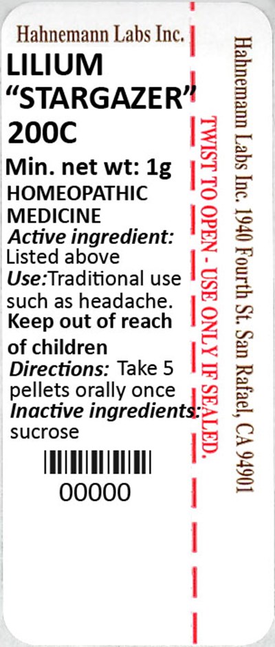 Lilium Stargazer 200C 1g - Lilium Stargazer 200C 1g